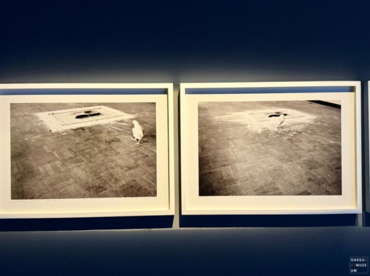 전시전경 · Exhibition view
