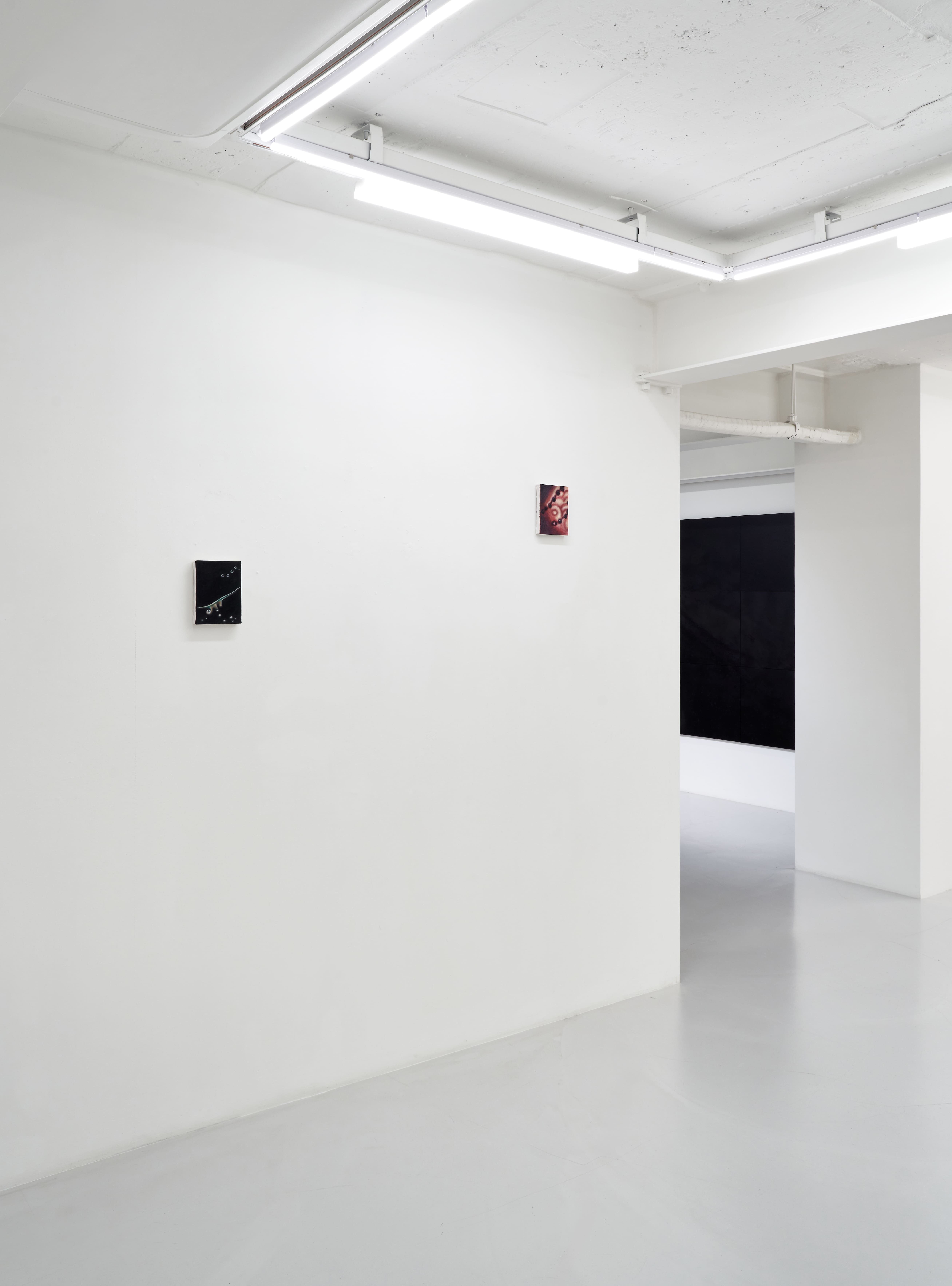 전시전경 · Exhibition view