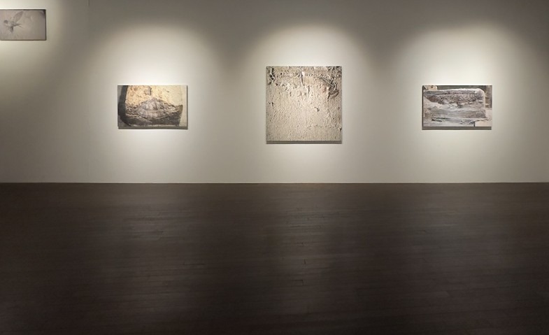 전시전경 · Exhibition view