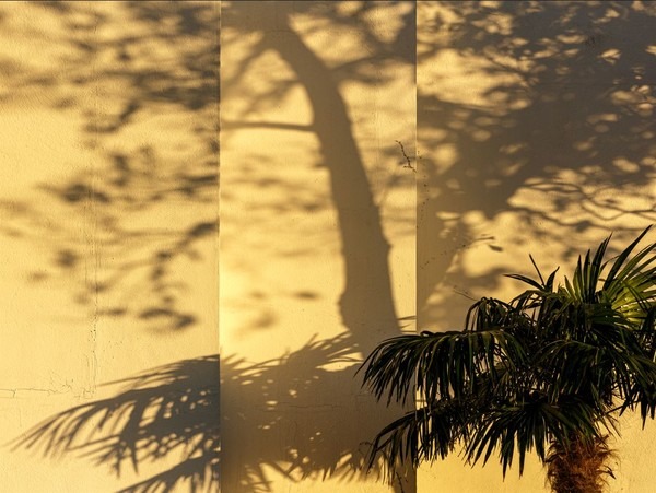 'Photographic Spatiality IV' · 오영종