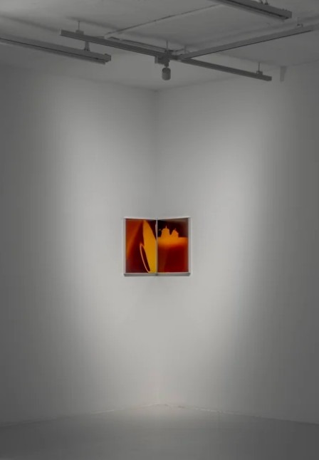 전시전경 · Exhibition view