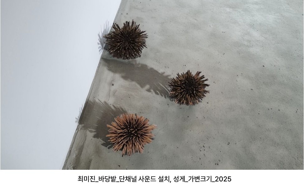 전시 전경 3