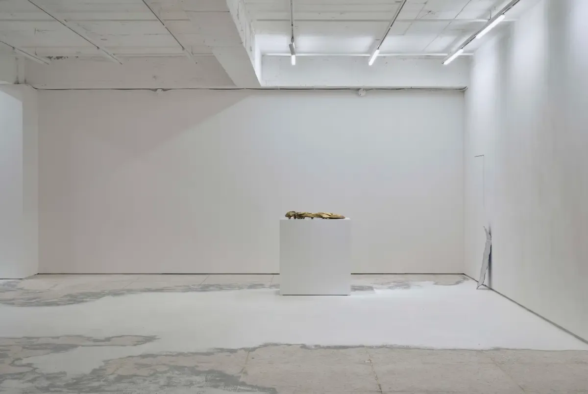 전시전경 · Exhibition view · *<샤워> 전시전경