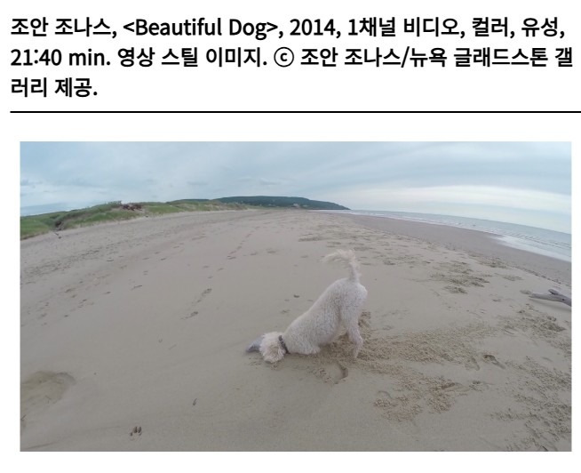 전시 전경 2