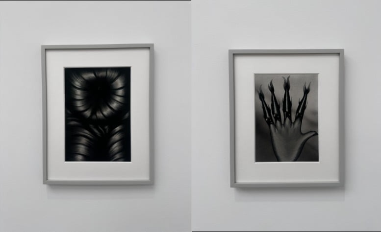 전시전경 · Exhibition view · 검정색과 흰색만을 사용한 구아슈 작업