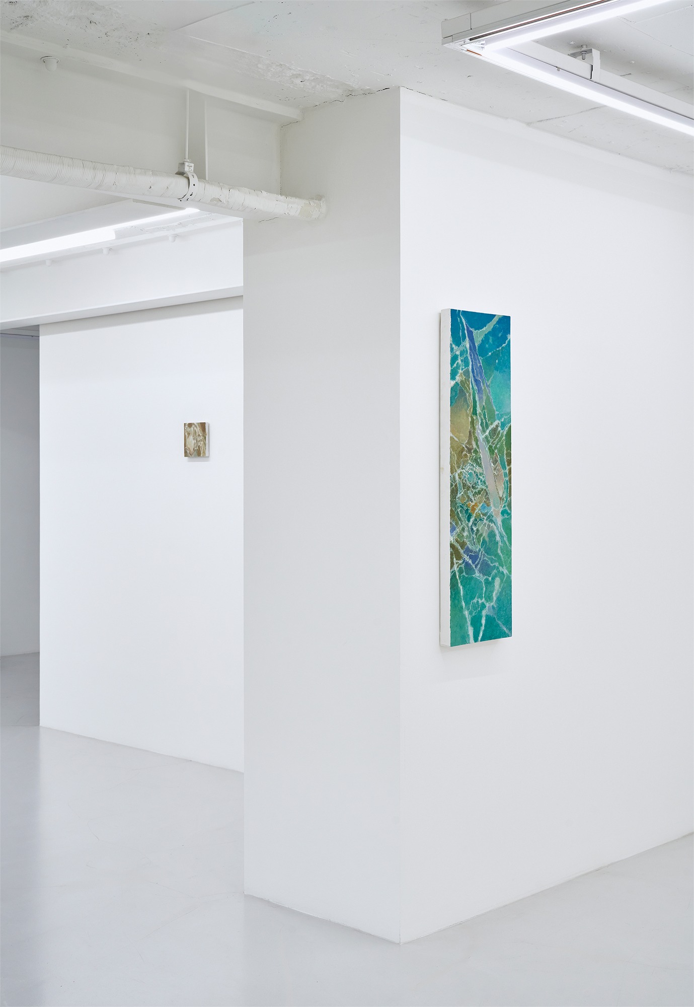 전시전경 · Exhibition view · Installation view - Stroke, Cell, and The Ghost