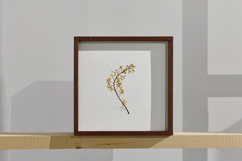 전시전경 · Exhibition view