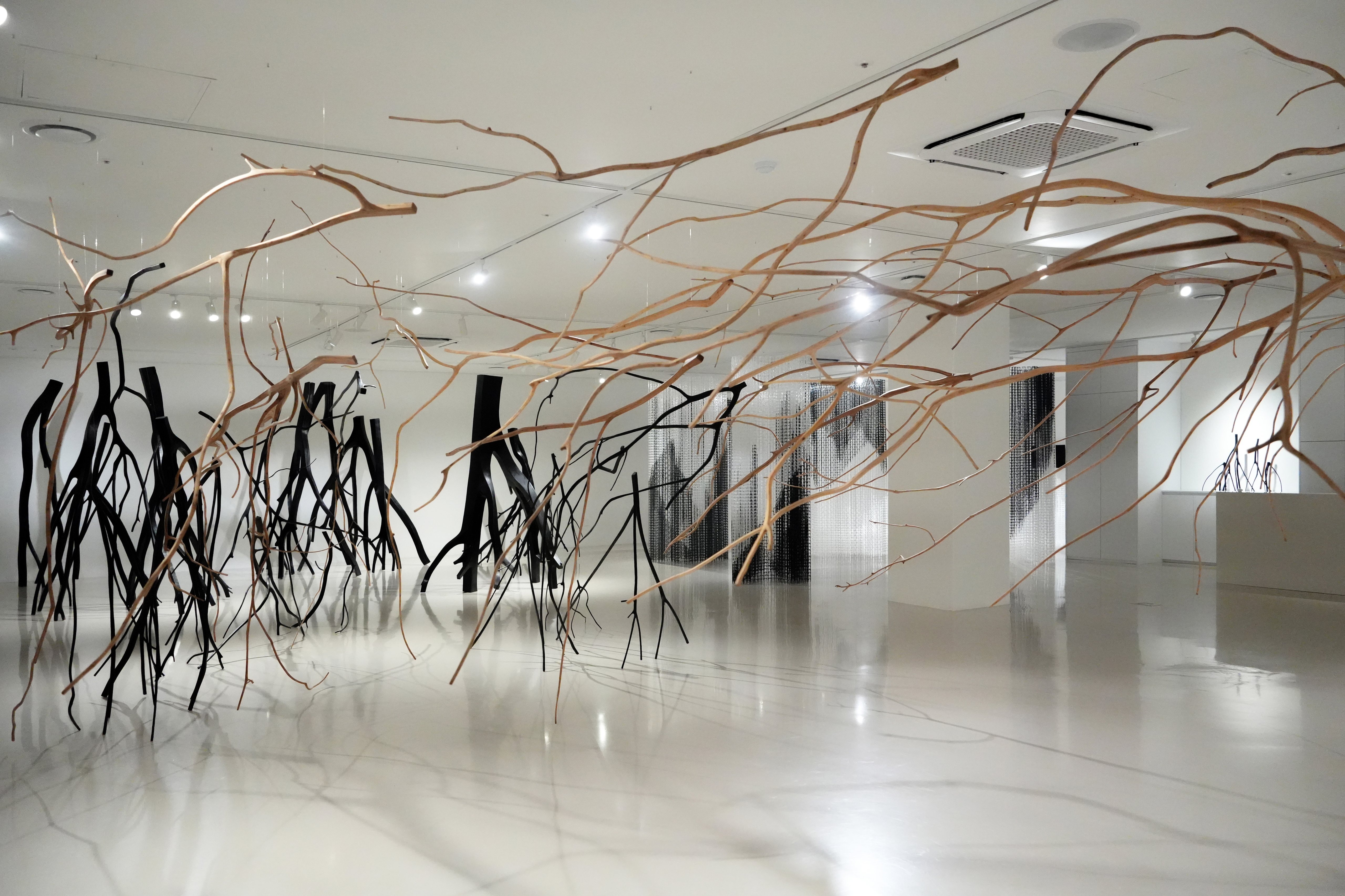 전시전경 · Exhibition view · 출처: 더 갤러리 호수 <틈을 걷다>