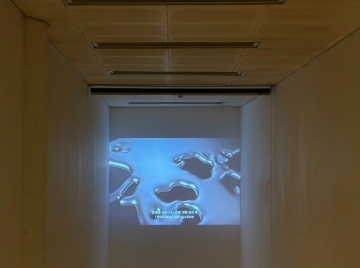 전시전경 · Exhibition view