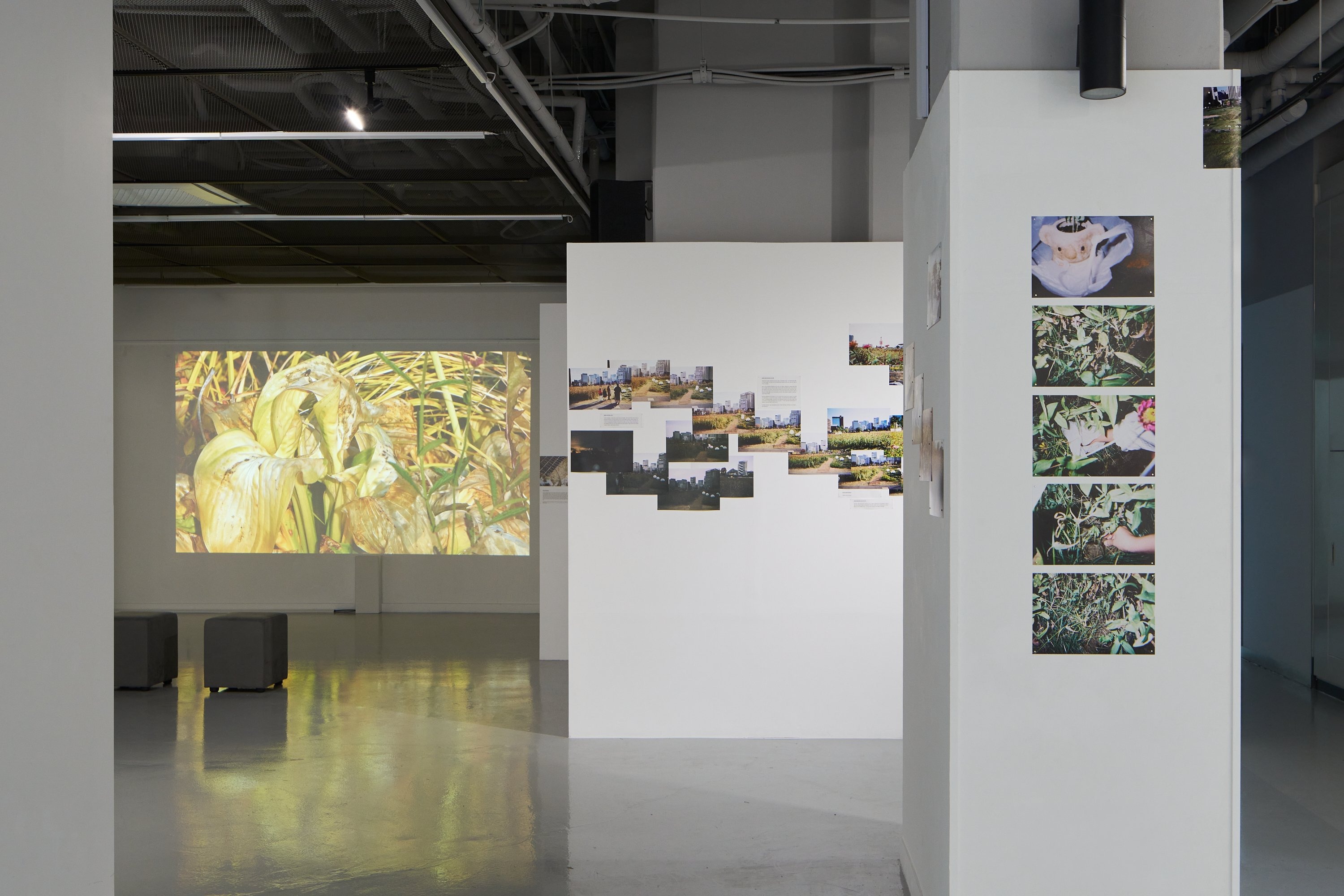 전시전경 · Exhibition view