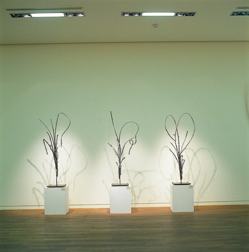 김황록