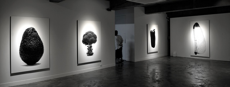 전시전경 · exhibition view