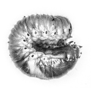 궁 · photography · 80x80cm · 2017