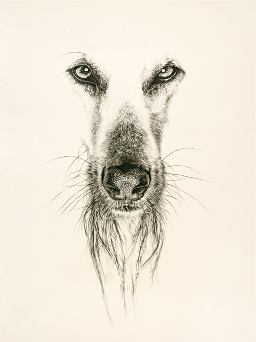 박효민 - Contemporaries冬 · 장지에 채색 · 175×130cm · 2014