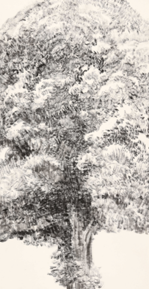 나무 · 화선지에 수묵 · 138×69cm · 2018
