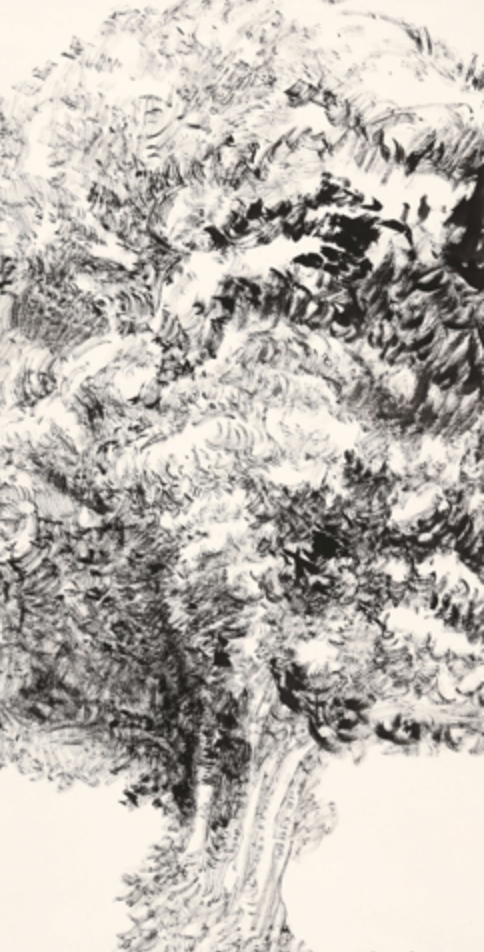 나무 · 화선지에 수묵 · 138×69cm · 2018