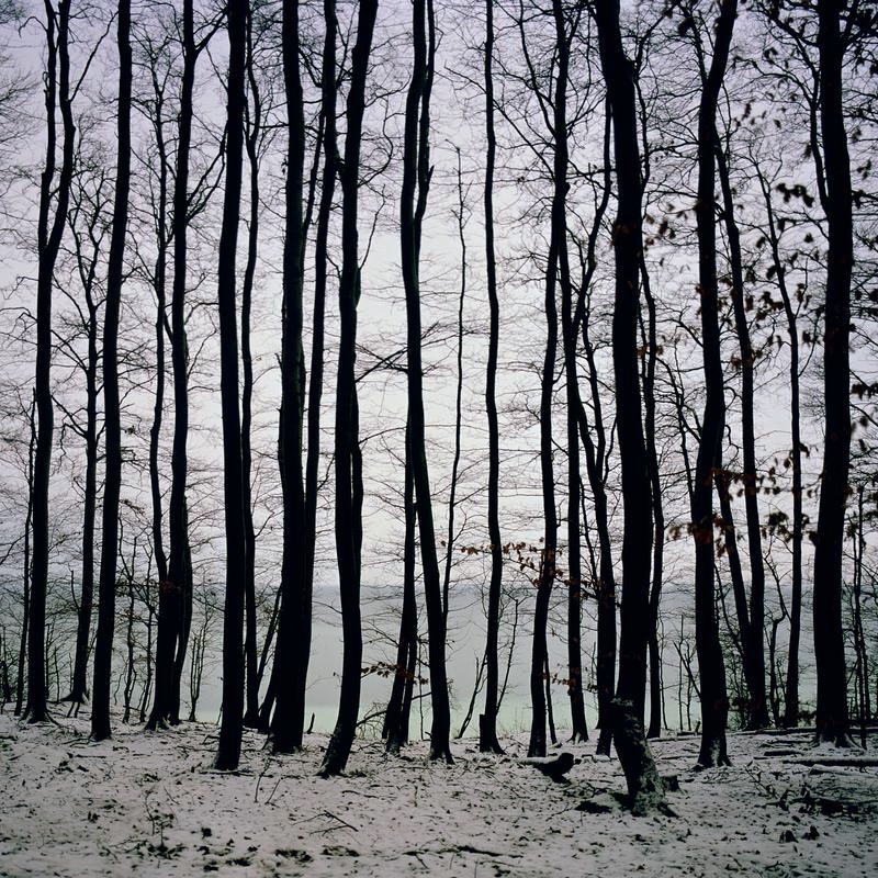 Fullmoon@Baltic Horizon · C-print · 121.2 x 121.2 cm · 2015