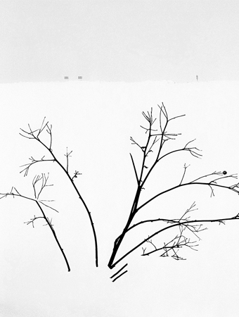 Exhibition Poster