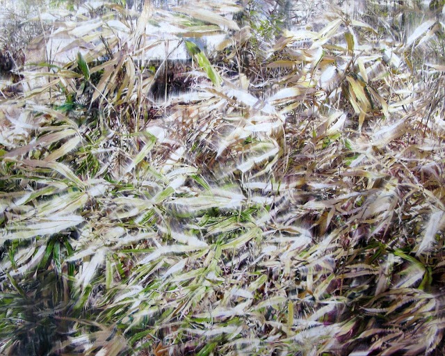 Dry Plant-18022 · 캔버스에 유채 · 181.8×227.3cm · 2018