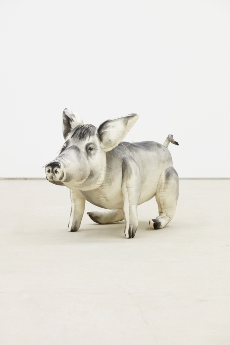 Piggy · mixed media · 40x30x54cm · 2019