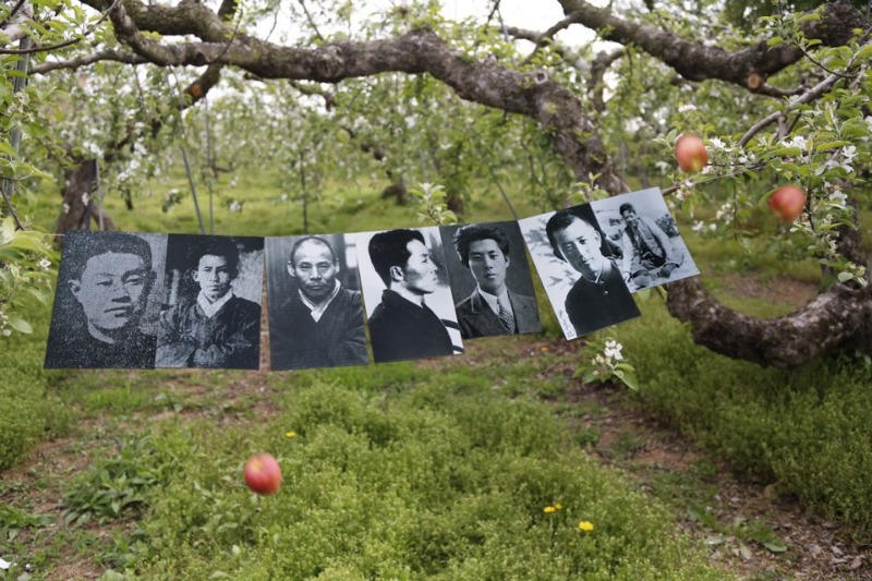 The moment apple flower comes to me -Apple‘s Travel#8 · Korea @ Shin HyunRim.Inkjet print. · 2019