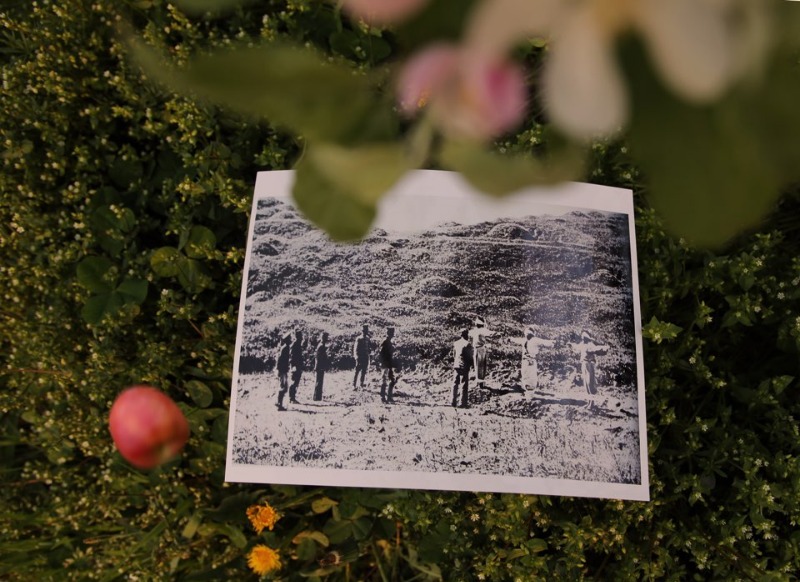 A special ritual for apple flowers · Inkjet print · 2019