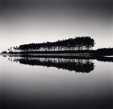 Pine Trees_ Study 5 · Unyeo Beach_ Chungcheongnam-do_ South Korea · 2018 · Pine Trees_ Study 5 · Unyeo Beach_ Chungcheongnam-do_ South Korea