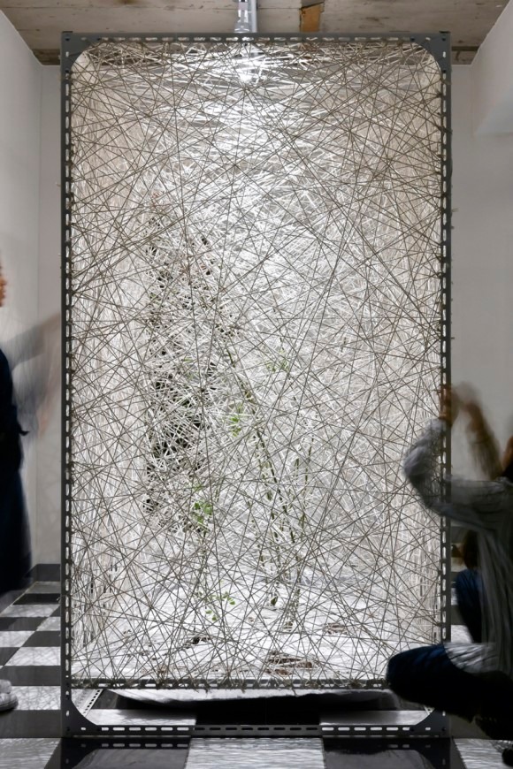 Exhibition_View · Exhibition_View
