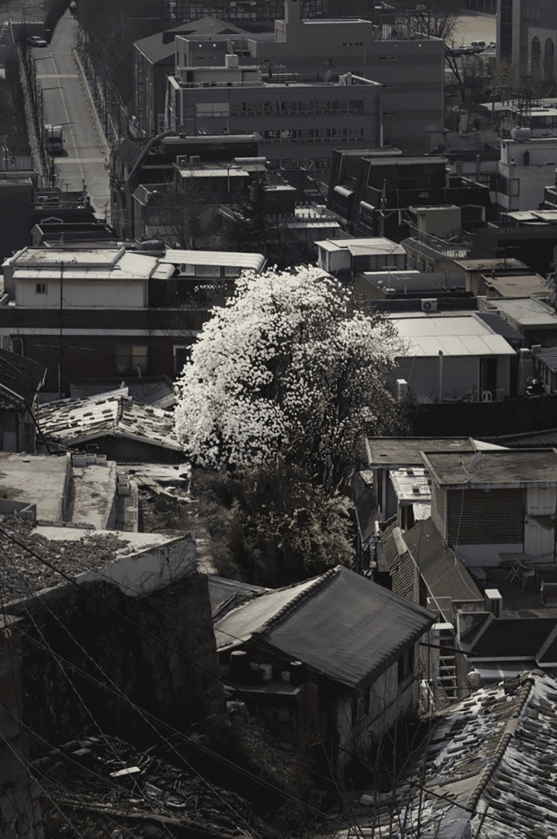 전시전경 · Exhibition view