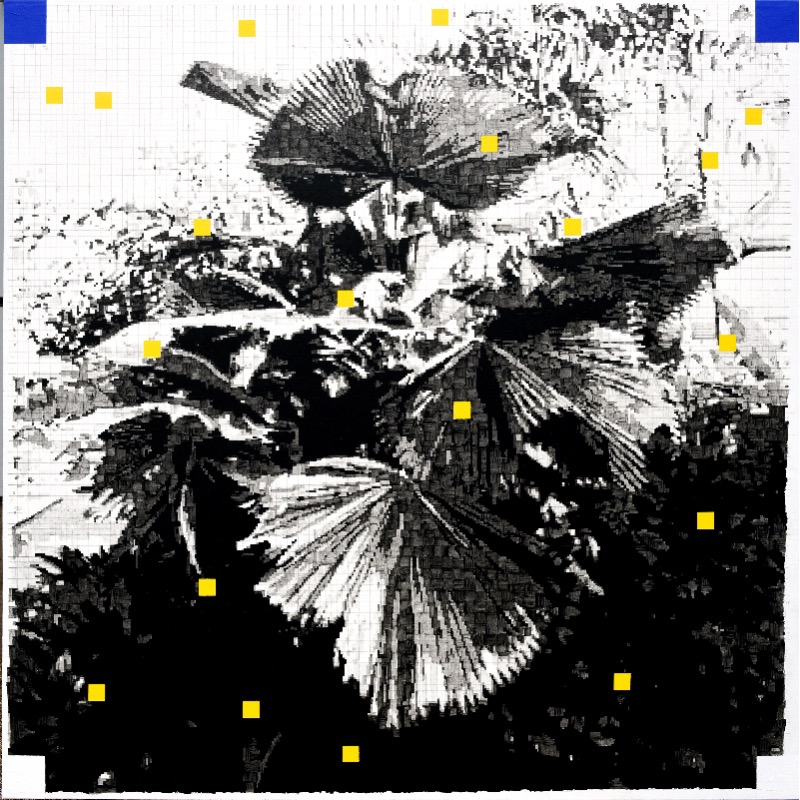 Another Place-Forest · Korean ink & Acrylic on Korean Paper Attached to Canvas · 145x145cm · 2019 · Another Place-Forest · Korean ink & Acrylic on Korean Paper Attached to Canvas