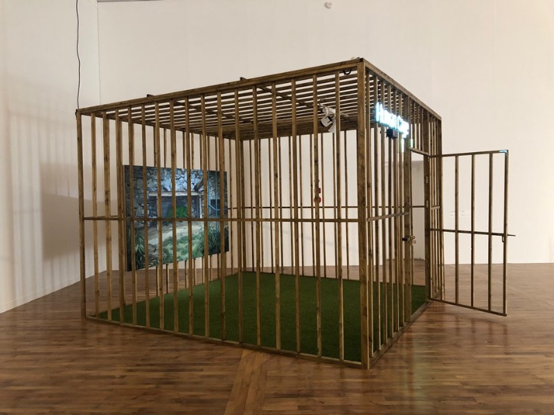installation view