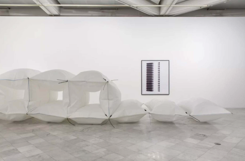 installation view