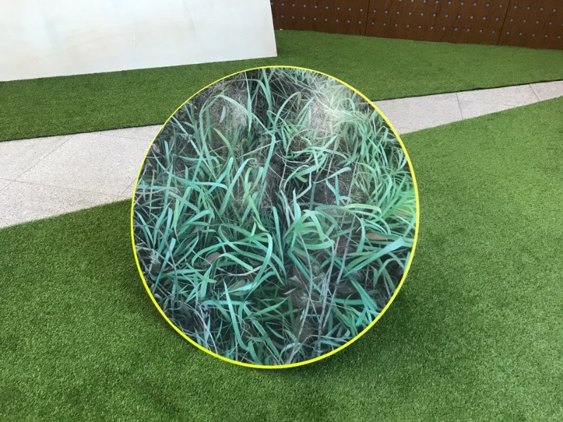 installation view_강민영