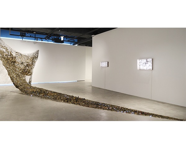 installation view