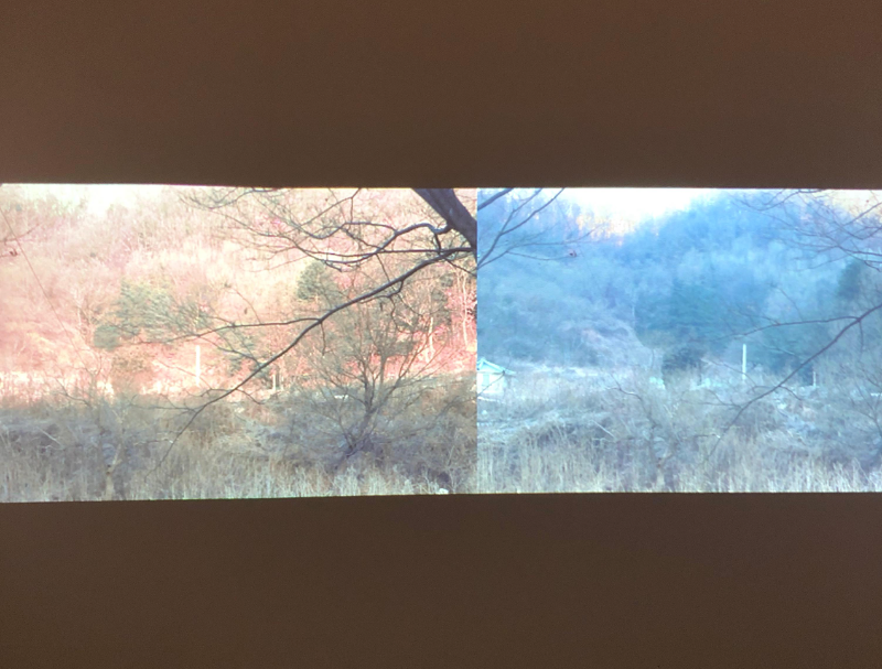 installation view