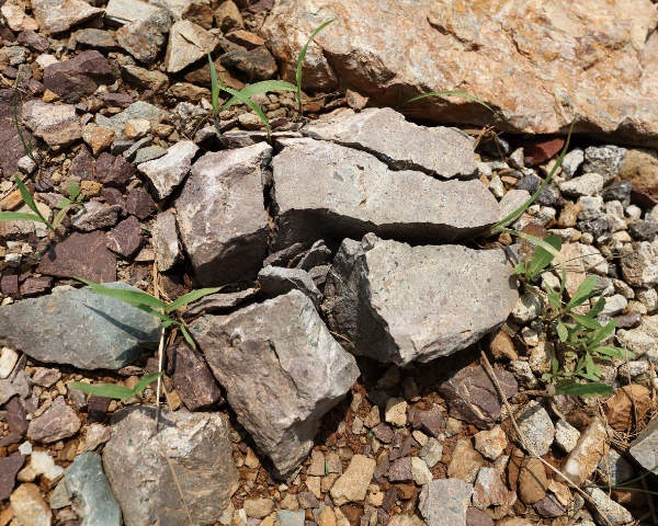 The Stones of the 37