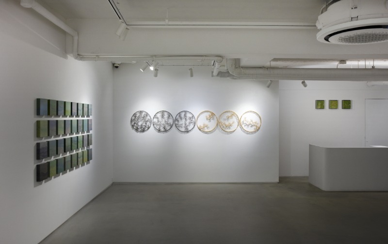 설치전경 · Installation view