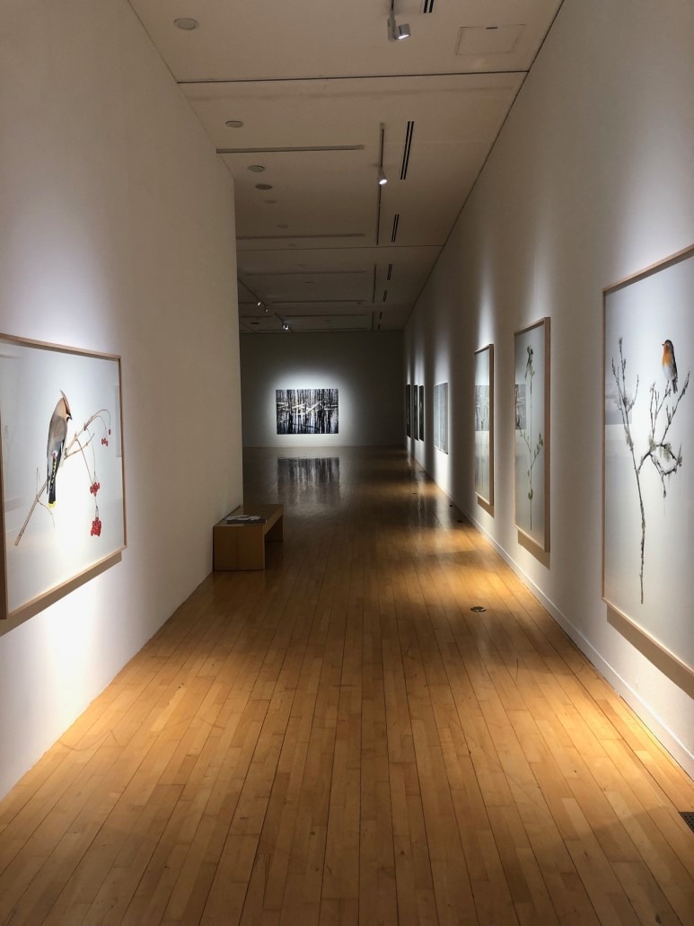 전시 전경 · Exhibition view