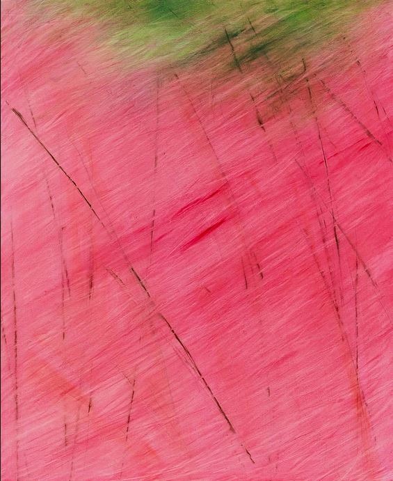 핑크뮬리 사이로 부는 바람2 · Oil on Canvas · swsying Pink Muhly Grass · Oil on Canvas