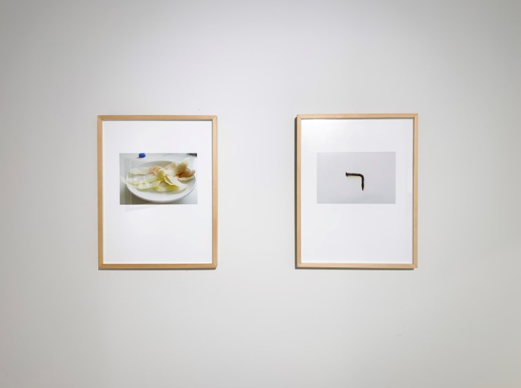 전시전경 · Exhibition view