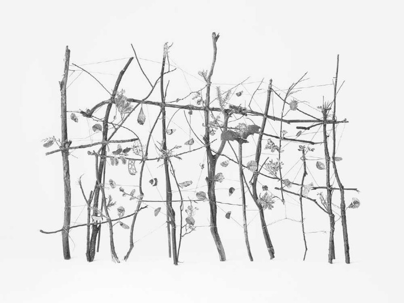 권도연_섬광기억-콩나물 #3 · 2019