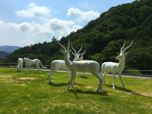 전시 전경 · Exhibition view