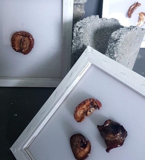 전시 작품 · installation works