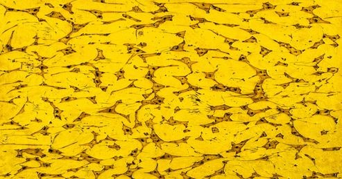 생의 불꽃 · 캔버스에 불_한지_ 목탄_안료_석분 · 45×82cm · 2019 · Life of Flame No.1902-1