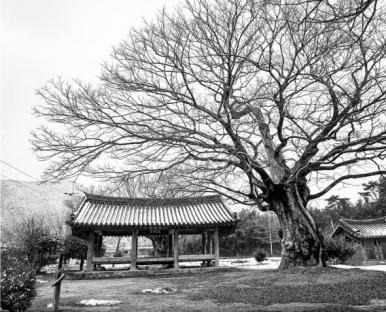 전남 나주 쌍계정(全南 羅州 雙溪亭) · Gelatin Silver Print · 50.8X60.96cm · 2012 · Ssang-gye Pavilion in Naju · Gelatin Silver Print