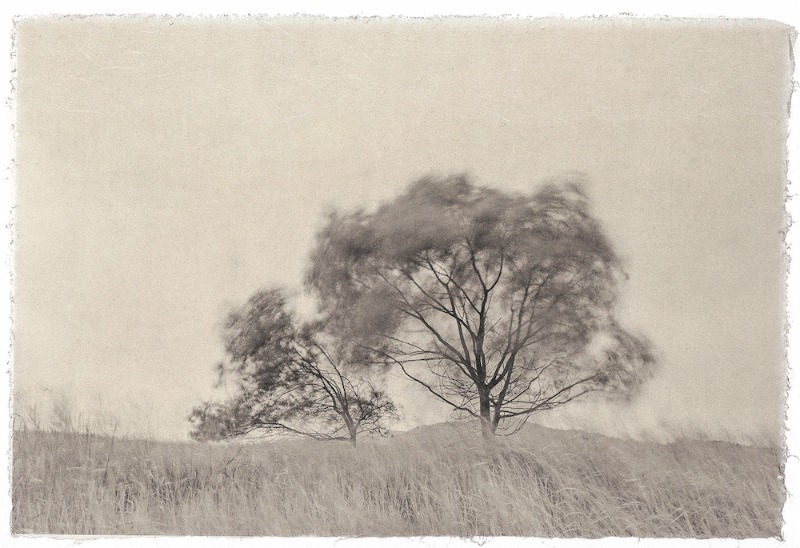 작품 사진 · Work image