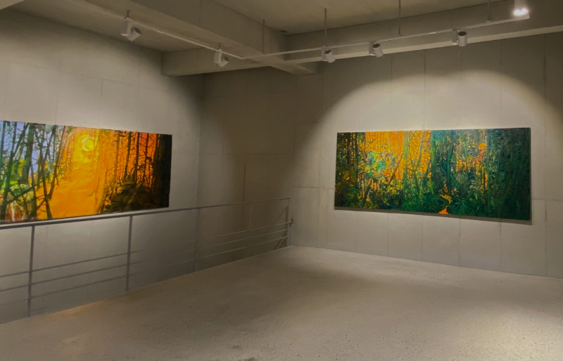 installation view · 2019 · installation view