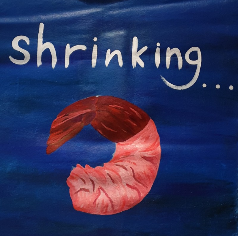 shrinking..._ · acrylic on canvas · 90x90cm · 2019 · shrinking..._ · acrylic on canvas