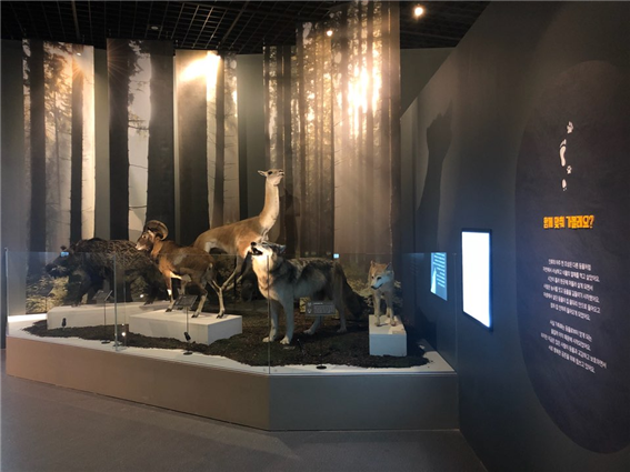 전시 전경 · Installation view
