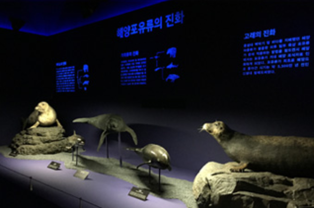 전시 전경 · Installation view
